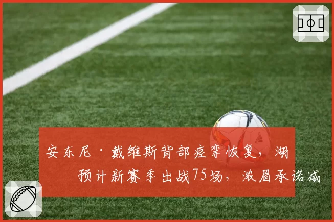 安东尼·戴维斯背部痉挛恢复，湖人预计新赛季出战75场，浓眉承诺减重